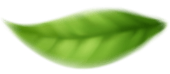 **Sustainable** development